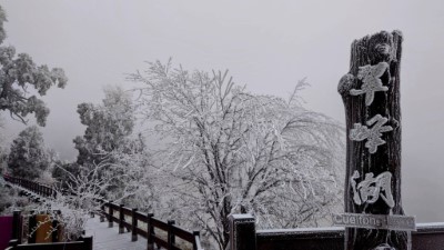 太平山喜迎低溫霧凇 銀白美景5
